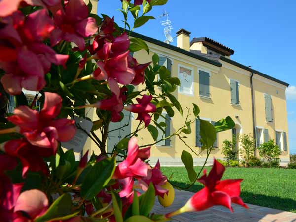 Pittura-per-rivestimenti-da-esterno